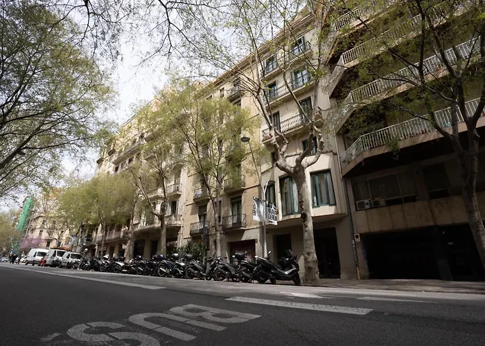 Hermoso Apartamento En El Centro